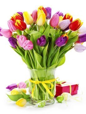 Rainbow Tulip Bouquet