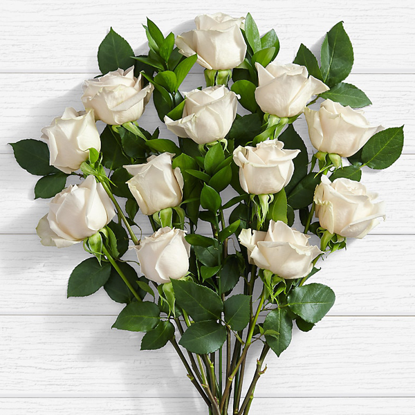10 Long Stemmed White Roses White Roses Delivery Pakistan Proflowerspk