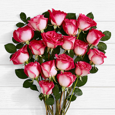 20 Pink Pearl Roses -Birthday Roses Online Delivery Pakistan - ProFlowers.pk