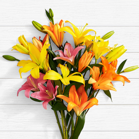 Birthday Lilies - Send Flowers to Pakistan Online - Proflowers.pk