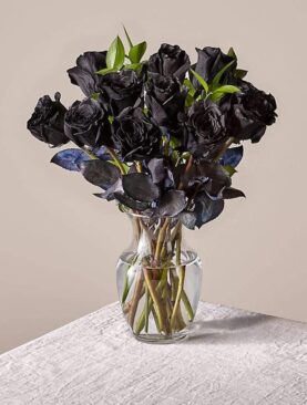 Black Roses Special For Valentine's