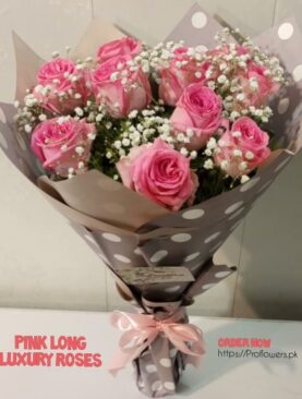 Pink Long Luxury Roses