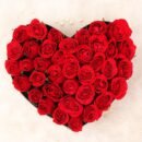 A Scarlet Embrace