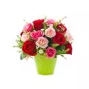 Wishes of Roses – same-day flower delivery Pakistan | Proflowers.pk