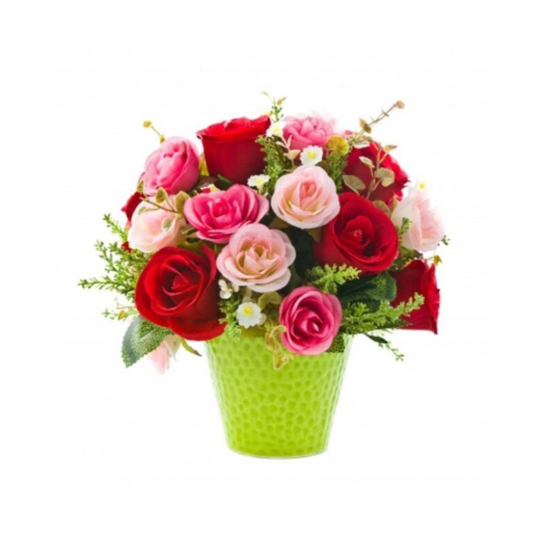 Wishes of Roses