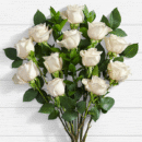10 Long Stemmed White Roses