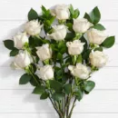 10 Long Stemmed White Roses – same-day flower delivery Pakistan | Proflowers.pk