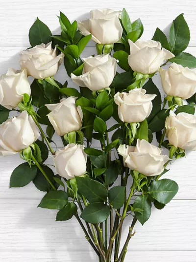 10 Long Stemmed White Roses – same-day flower delivery Pakistan | Proflowers.pk