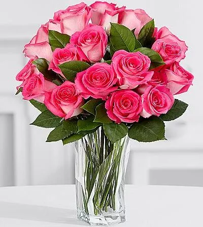 15 Pink Jewel Roses – same-day flower delivery Pakistan | Proflowers.pk