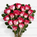 20 Pink Pearl Roses Bouquet – ProFlowers Pakistan
