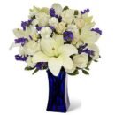 Beyond Sapphire Flowers