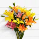 Birthday Lilies – same-day flower delivery Pakistan | Proflowers.pk