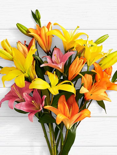 Birthday Lilies – same-day flower delivery Pakistan | Proflowers.pk