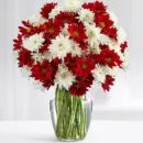Blooms of Poms – same-day flower delivery Pakistan | Proflowers.pk