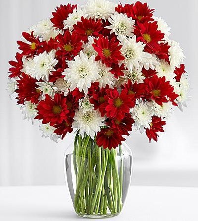 Blooms of Poms