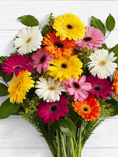 Colorful Birthday Daisies – same-day flower delivery Pakistan | Proflowers.pk