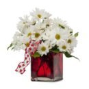 Peaceful Wishes Flowers