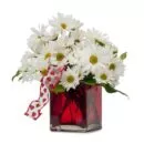 Peaceful Wishes Flowers – same-day flower delivery Pakistan | Proflowers.pk