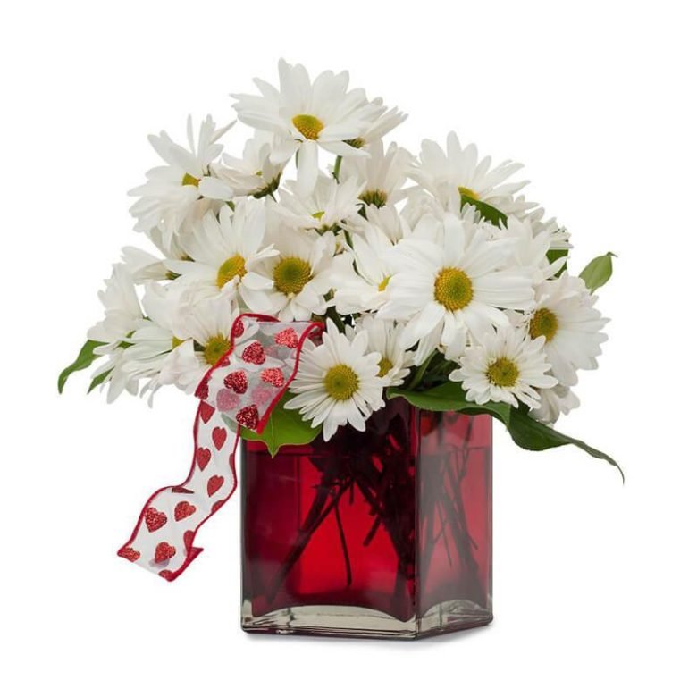 Peaceful Wishes Flowers
