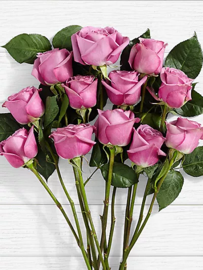 Happiness Purple – same-day flower delivery Pakistan | Proflowers.pk