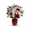 Red and White Roses