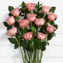 Pink Sapphire Wishes Flowers – same-day flower delivery Pakistan | Proflowers.pk