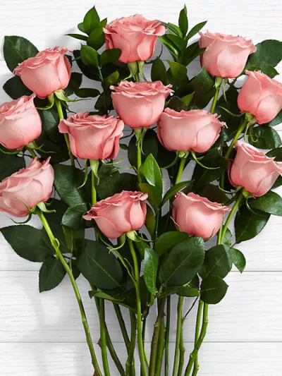 Pink Sapphire Wishes Flowers – same-day flower delivery Pakistan | Proflowers.pk