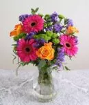Pick of the day – Picasso – same-day flower delivery Pakistan | Proflowers.pk