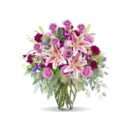 Sunshine Pink Roses