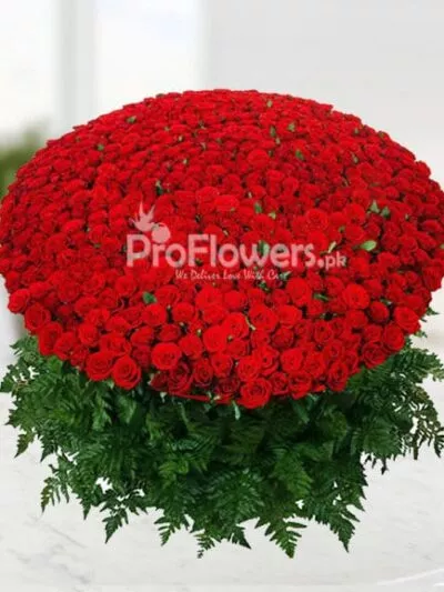 Roses Love for Love – same-day flower delivery Pakistan | Proflowers.pk
