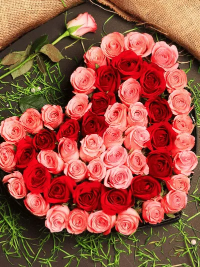 Hearty Sensation – same-day flower delivery Pakistan | Proflowers.pk