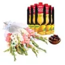ELEGANT WISHES – same-day flower delivery Pakistan | Proflowers.pk