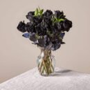 Black Roses Special For Valentine's