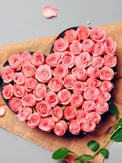 Roselily Surprise – same-day flower delivery Pakistan | Proflowers.pk