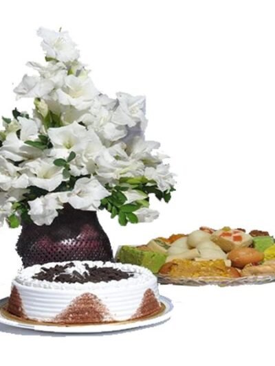 GLADS WITH BLACK FOREST