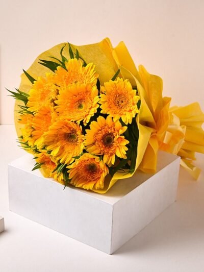 Sunshine Gerberas For Celebration